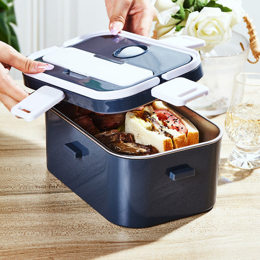 Dual-Purpose Electric Lunch Box for Car and Home