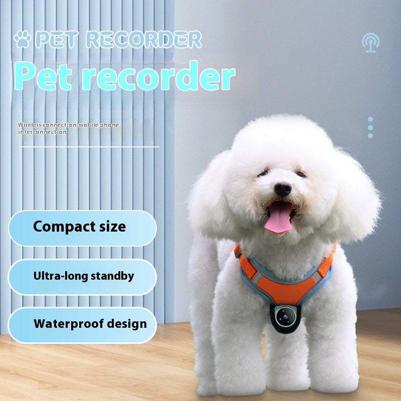 Pets Recorder Pet Tracker Collar Dogs and Cats Viewing Angle Motion Recording Camera