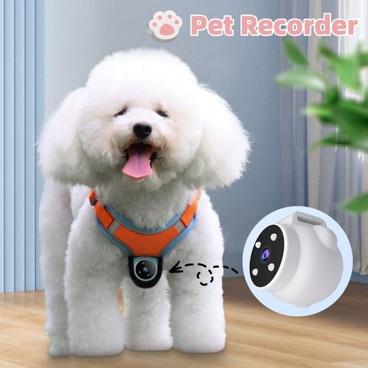 Pets Recorder Pet Tracker Collar Dogs and Cats Viewing Angle Motion Recording Camera