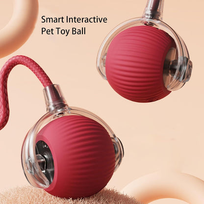 Interactive Smart Rolling Ball Toy